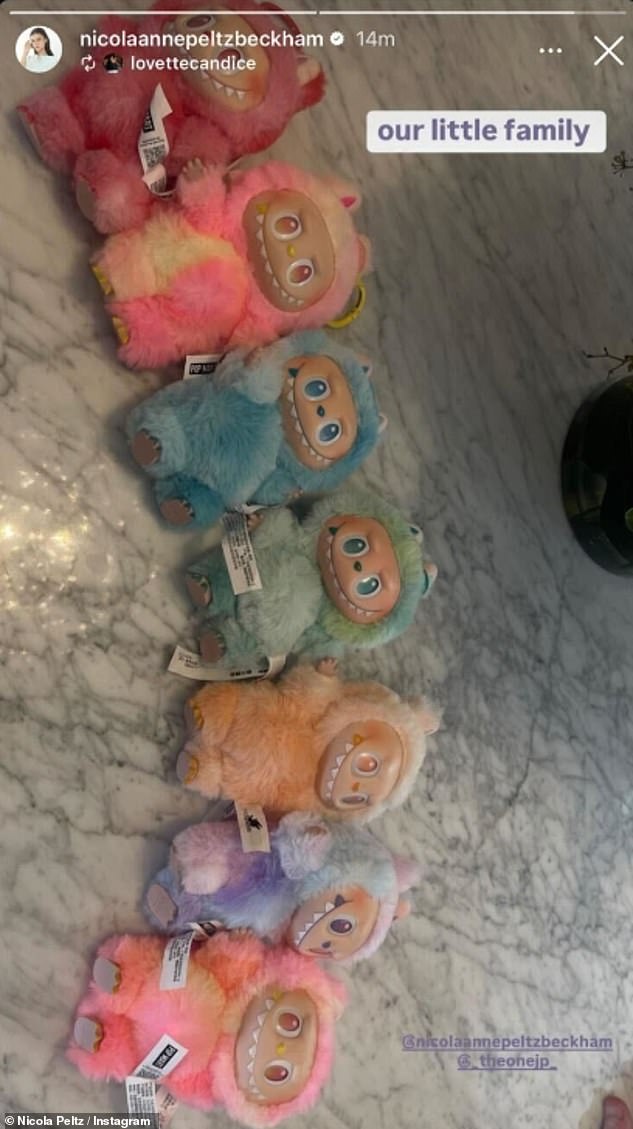 As the reports emerged, Nicola took to Instagram to share a series of photographs in which she gushed over her billionaire father Nelson Peltz and joked that her Labubu dolls were her family