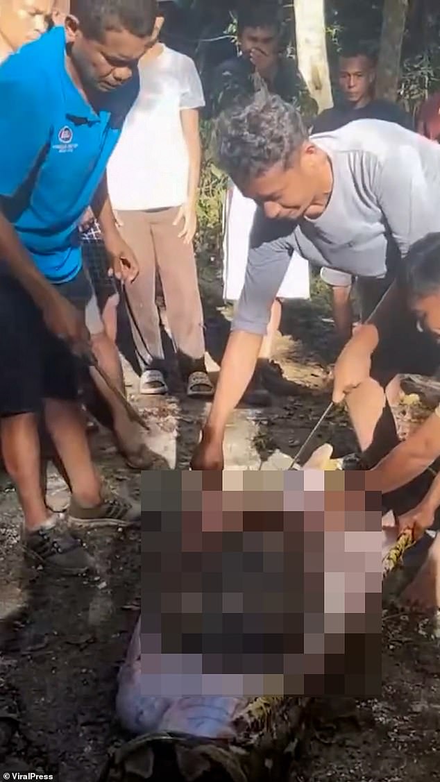 Locals sliced open the huge snake after they found it with a bloated stomach