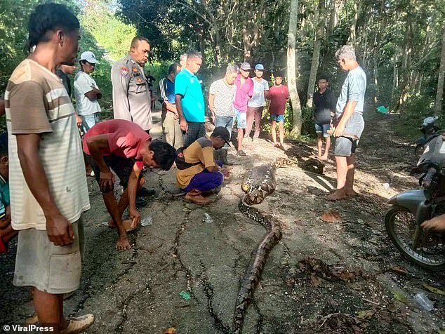 Authorities say they have warned residents to be careful when they venture into the forest alone