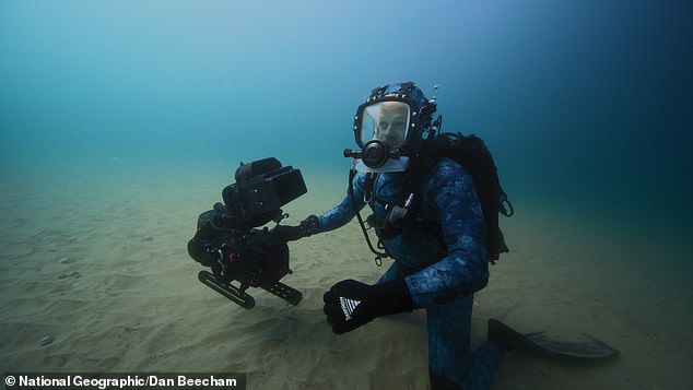 Throughout the show, Bertie gets up close with a range of underwater animals including southern right whales and spotted ragged tooth sharks