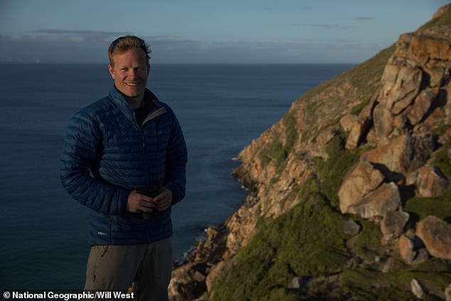 They hope to dive and record great white sharks hunting seals, without the protection of a cage
