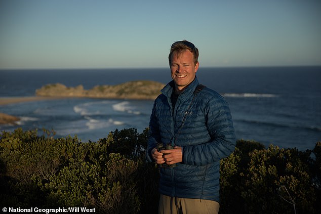 Bertie revealed to MailOnline he thought it would be 'straightforward' to locate one of the most feared sea creatures