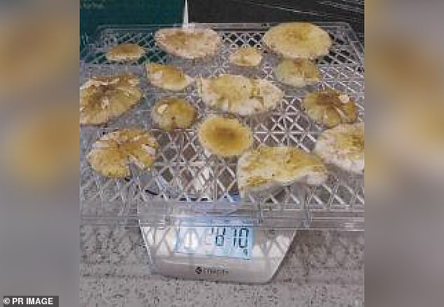 An expert thought these mushrooms were death caps. They had been captured by Patterson