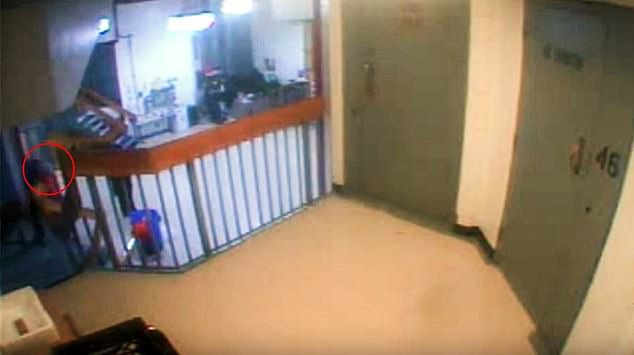 The DoJ said that while the footage doesn't show his cell door, it would capture anyone moving to it