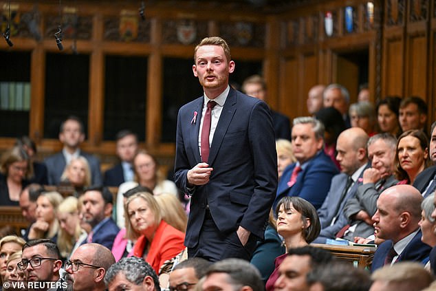 Labour MP Luke Myer put in a claim for a £155 wardrobe from Ikea to keep office supplies in
