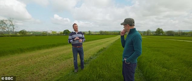 Footage of the cows receiving their daily delivery service of grass played out just before Matt spoke to Richard about their choice of running things on their grazing field (pictured)