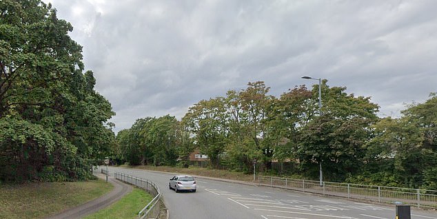 She was initially driven away from First Avenue, Harlow, (pictured) but was able to free herself from the vehicle and find help