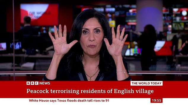 She prefaced the impression with: 'I've been told specifically from my producer to not do an impression of a peacock so I'm going to do it anyway'