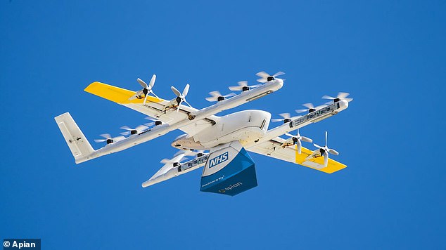 The health service are looking to use the aircrafts to deliver urgent blood samples between 12 hospitals across London after a six-month trial period at Guy's and St Thomas'
