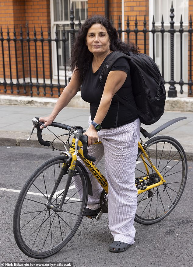 Fereshteh Guillon, who lives across from Holland Park, wasn't happy with the plans - fearing the noise from the drones will be 'disruptive'