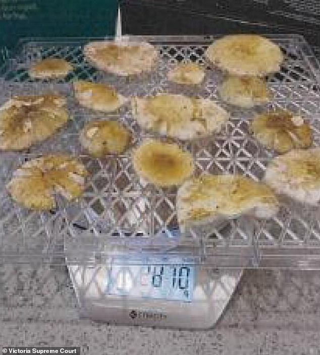 Police were still able to gather large amounts of digital evidence, including a photo of death cap mushrooms on a scale (pictured) discovered on Patterson's tablet device