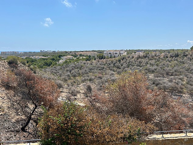 Homeowners have presented a fire plan to the city council in the hopes they will cut back the trees and vegetation to lower the risk of future infernos