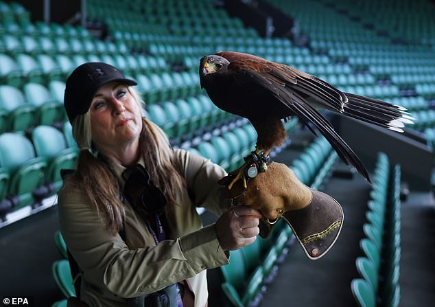 Questions have been raised over whether Rufus is gay, with the bird having no offspring