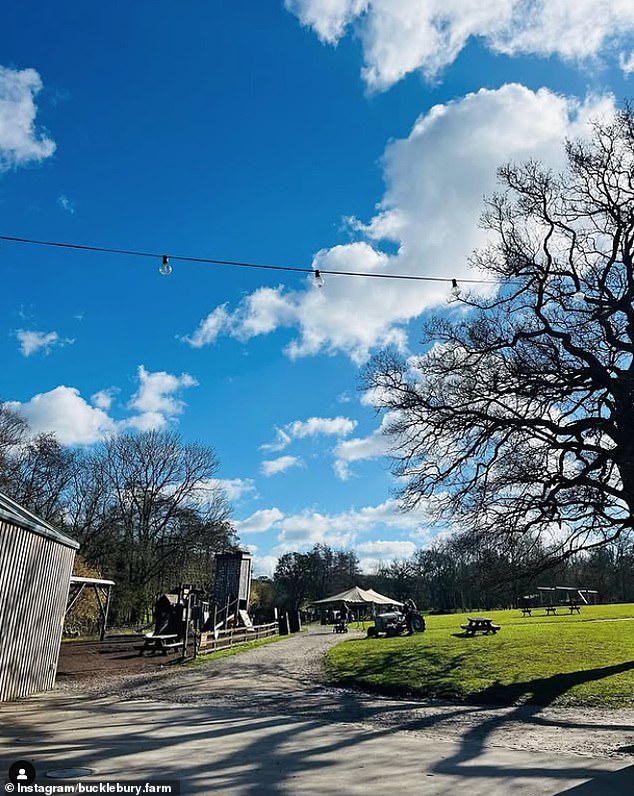 In March, road experts voiced significant concerns about Pippa's creche plans - in particular, the extra number of cars the creche might spark. The farm is pictured