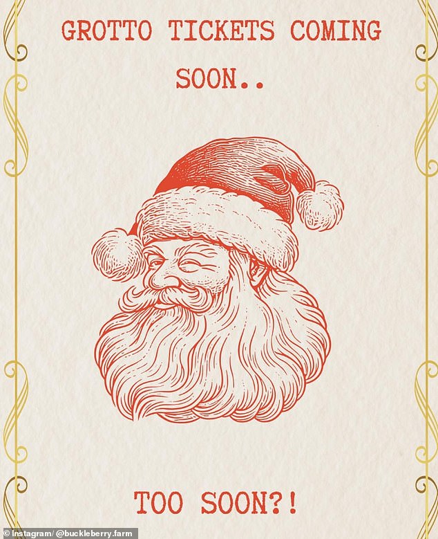 The post, shared to Instagram, said 'Father Christmas Grotto tickets at Bucklebury Farm will be on sale very soon