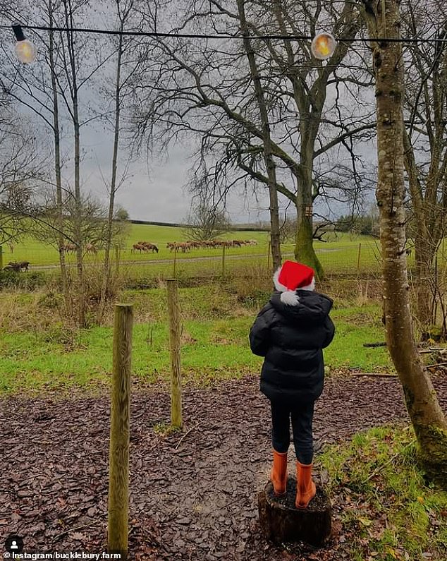 Bucklebury Farm's petting zoo was said to be a favourite of young Prince George when he visited his grandparents. Pictured is the farm on Instagram