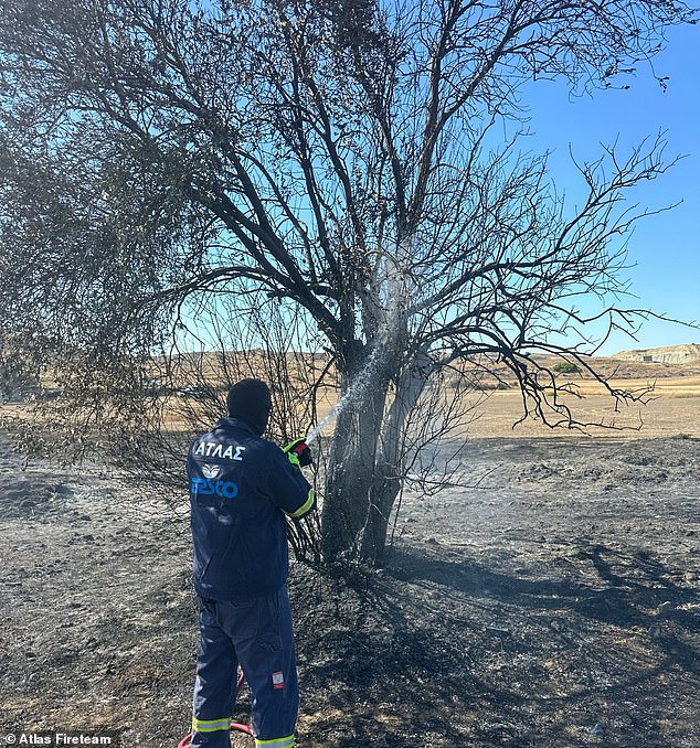 Paphos was ablaze as of Monday, with many wild plants being destroyed