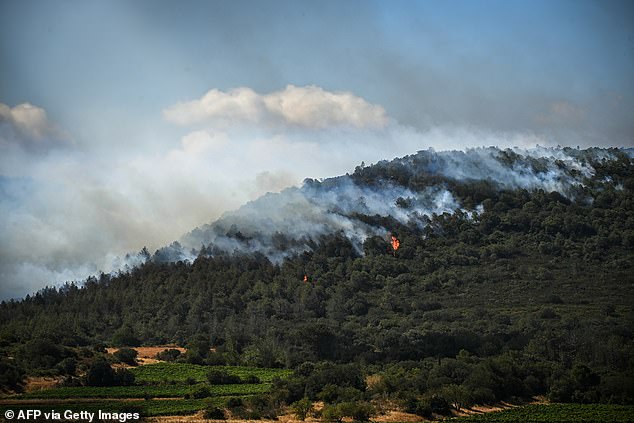 Smoke rises from a forest fire near the Aussieres neighbourhood, near the city of Narbonne, southwestern France, on July 8, 2025