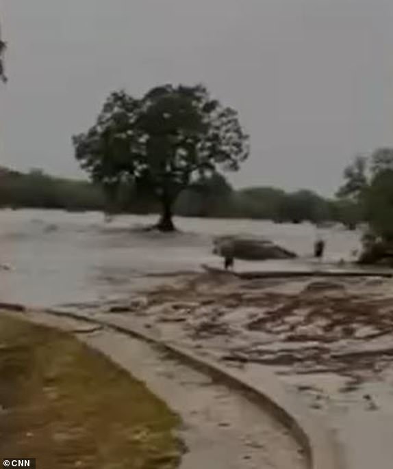 "You can see a lot of vehicles floating away with the lights on and you can hear a lot of honking and people banging against the windows screaming for help": RV park owner Lorena Guillen on what she saw and heard the night of the devastating floods in central Texas.