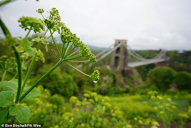 Stock image of Clifton Suspension Bridge in Bristol