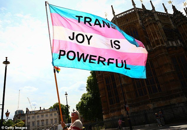 A person waves a transgender flag, with the words "Trans Joy Is Powerful" printed on it, outside parliament on June 25