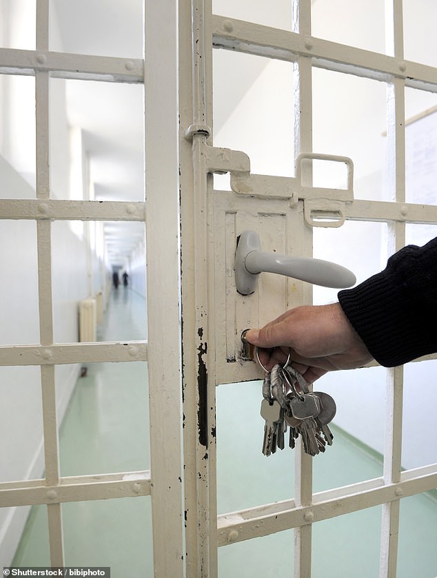 The current Crown Court backlog stood at a record 76,957 cases at the end of March – with trials now being listed to take place in 2029 (file photo)