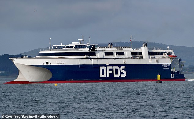 The huge operation saw officers force the DFDS ship to return to shore yesterday morning shortly after departing for Calais (file image)