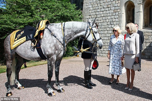 The President and the First Lady of France was invited to meet Fabuleu de Maucour, a horse gifted by Mr Macron to Queen Elizabeth II to mark her Platinum Jubilee