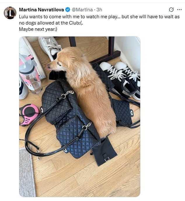 She shared on X, formerly Twitter, her travels with pet dog Lulu
