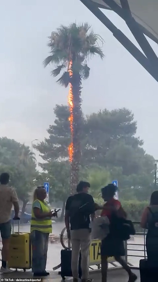 A palm tree burns at Split Airport, in Croatia, after being struck by lightning during a major storm followed by heavy rain, hail and strong winds
