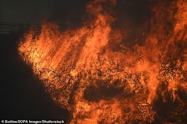 General view of the flames of the fire engulfing the vegetation of the hills of Marseille