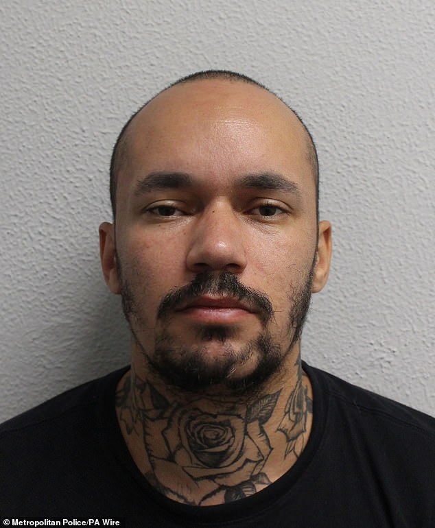She reached around her mixed martial arts expert boyfriend Leigh Holder, 37, (pictured) to stab the unsuspecting mother in the chest several times