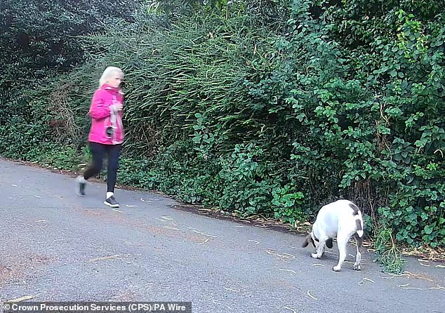 Ms Rose was spotted on CCTV walking her dog early in the morning of July 24 before being attacked