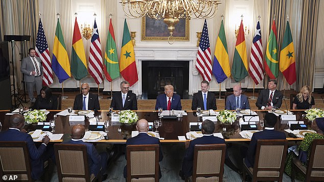 Trump invited the leaders of Liberia, Senegal, Gabon, Mauritania and Guinea-Bissau for meetings with him in Washington, revealing he sees 'great economic potential in Africa'