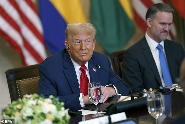 Trump described the nations represented at the meeting as 'all very vibrant places with very valuable land, great minerals, and great oil deposits, and wonderful people'