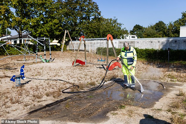 A council worker in the German city of Kehl sprays hot water into an anthill underneath a children's playground
