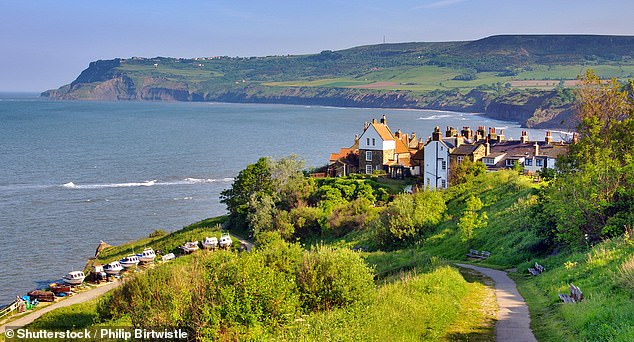 North Yorkshire also performed well, perhaps because it blends blue and green – boasting a long coastline and the Yorkshire Dales. Pictured: Robin Hoods Bay in North Yorkshire