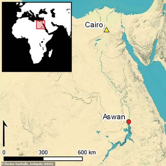 The carvings were found near the Southern Egyptian city of Aswan, close to the east bank of the Nile