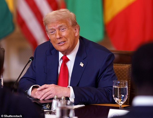 Gesturing at other African leaders at the gathering, Trump said: 'I have people at this table who can't speak nearly as well.'