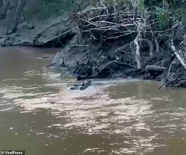 Authorities said Muhammad's body was successfully collected at 11:50 pm local time. His condition was described as 'horrific', with severe injuries to his right leg and thigh