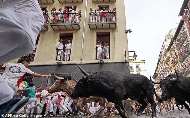 Sixteen people have been killed during the bull runs since 1925 at the annual festival, which finishes on July 14 and was made famous by 1926 Ernest Hemingway novel 'The Sun Also Rises'