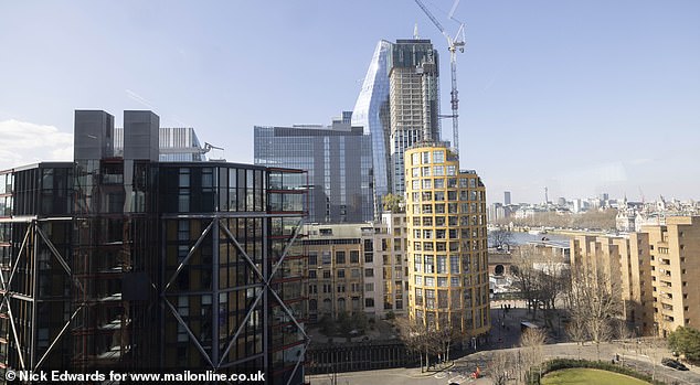 The Powells have lived in their 6th floor flat in the yellow ochre Bankside Lofts building on the South Bank of the River Thames for more than 20 years