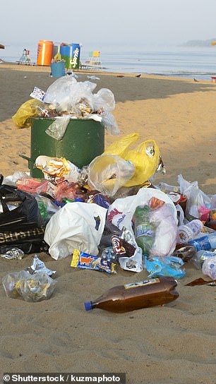 A waste expert has called for better signage on beaches and litter pickers Stock image of beach litter