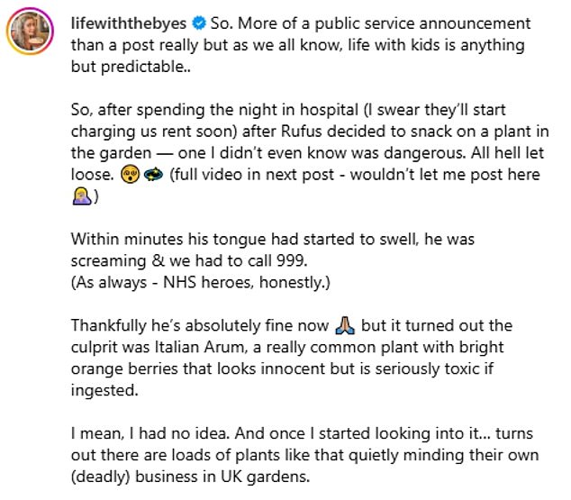 James' wife Victoria shared the worrying ordeal on Instagram on Thursday before issuing an update on Friday to confirm Rufus was fine, after spending a night in hospital