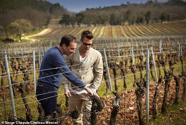 Brad Pitt at Chateau Miraval, the winery he owned with Angelina, in 2023