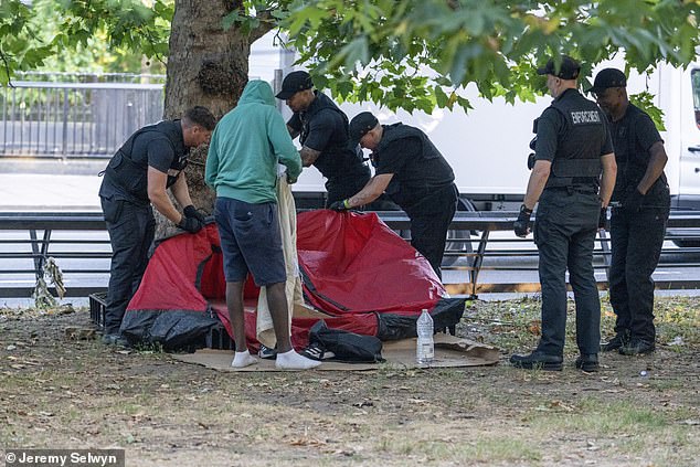 A scraggy array of tents had been occupying the road’s grassy central reservation