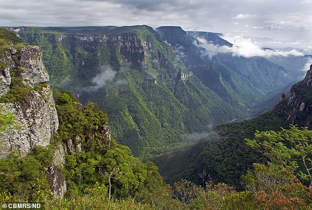 Authorities shut down access to Fortaleza Canyon at Serra Geral National Park on Friday as part of an investigation related to the deadly fall of 11-year-old Bianca Bernardon Zanella on Thursday