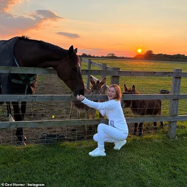 Geri and Christian's stunning property also has stunning views and acres of lands for their horses and donkey's to roam about