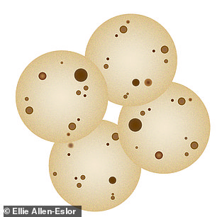 8 mini tortillas, £1.33