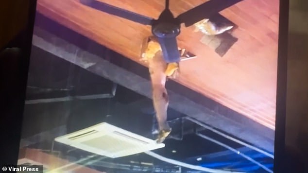 In an incident in November, last year, a British tourist was rescued in Thailand after he fell from a hotel balcony while allegedly intoxicated and covered in faeces